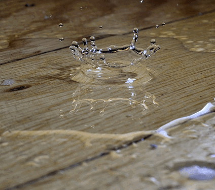 Water Damage Hardwood Floor Repair